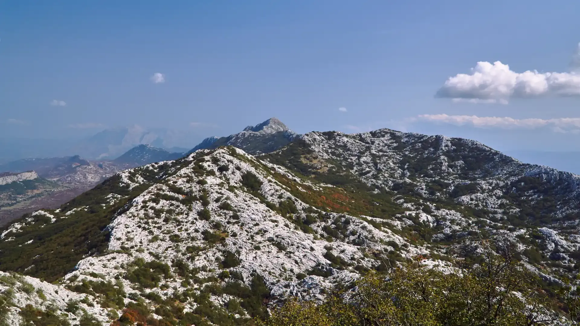 Mosor, stanište grivastih skakača